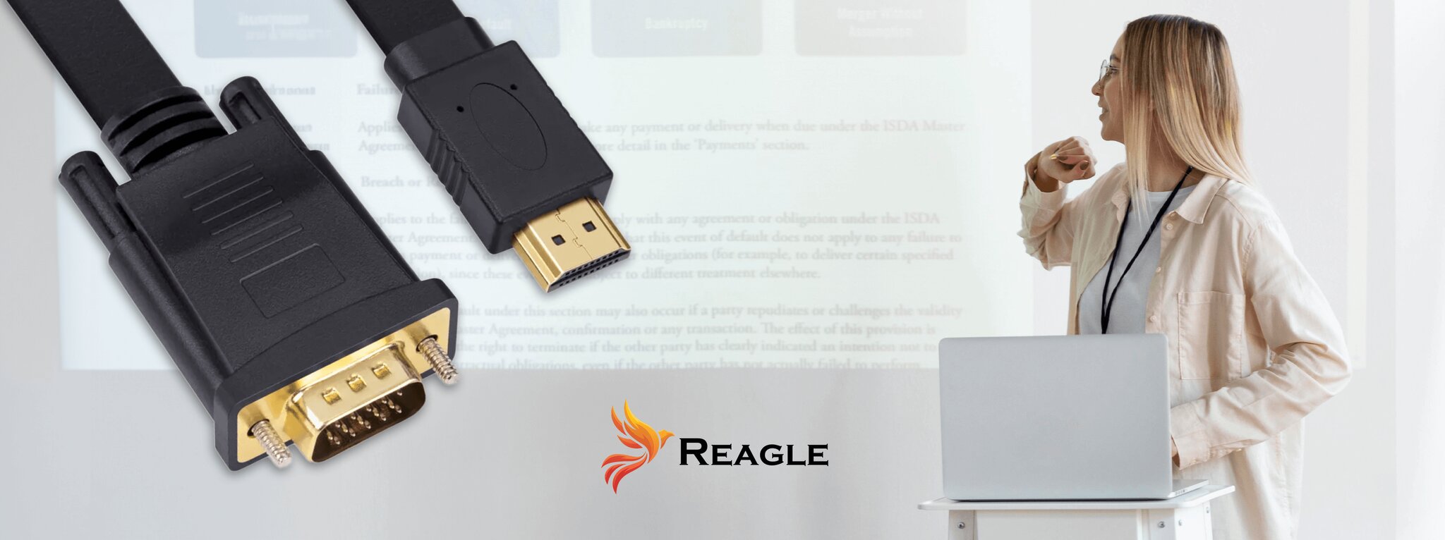 REAGLE VGA į HDMI 3M FULL HD D-SUB plokščiojo kabelio adapteris 1080p kaina ir informacija | Korpusų priedai | pigu.lt