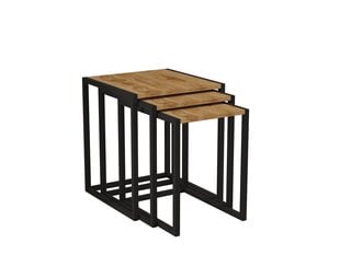 3-ių dalių kavos staliukų komplektas Asir, 40x55x40 cm, juodas/rudas kaina ir informacija | Kavos staliukai | pigu.lt