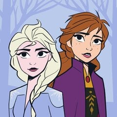 Детское полотенце Disney Frozen Sisters Magic  30x30cm цена и информация | Полотенца | pigu.lt