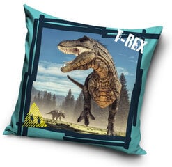 Pagalvės užvalkalas Dinosaur, 40x40 cm kaina ir informacija | Originalios pagalvės, užvalkalai | pigu.lt