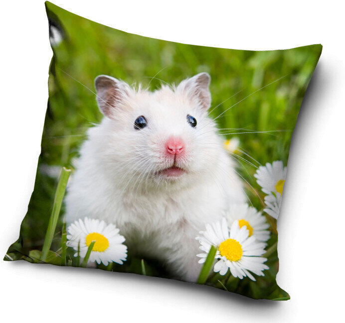 Pagalvės užvalkalas Mouse, 40x40 cm kaina ir informacija | Originalios pagalvės, užvalkalai | pigu.lt
