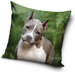 Pagalvės užvalkalas The Dog, 40x40 cm kaina ir informacija | Originalios pagalvės, užvalkalai | pigu.lt