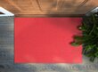 Durų kilimėlis Oranžinis Skaistalas 90x60 cm kaina ir informacija | Durų kilimėliai | pigu.lt