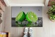 Durų kilimėlis Lime Citrusai 90x60 cm kaina ir informacija | Durų kilimėliai | pigu.lt