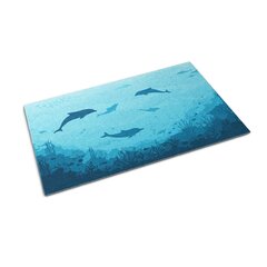 Väline Uksematt Delfiinid, 90x60 цена и информация | Придверные коврики | pigu.lt