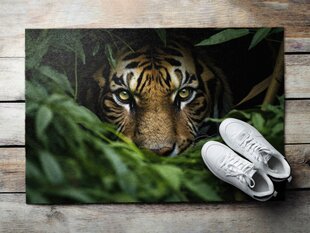Durų kilimėlis Jungle Tiger 90x60 cm цена и информация | Придверные коврики | pigu.lt