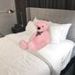 Pliušinis meškinas Makosas Pink Teddy, 180cm, rožinis kaina ir informacija | Minkšti (pliušiniai) žaislai | pigu.lt