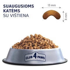 Club 4 Paws Premium katėms su vištiena, 1.8 kg цена и информация | Сухой корм для кошек | pigu.lt