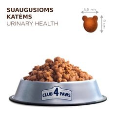 Club 4 Paws Premium katėms šlapimo sveikatos sistemai Urinary health, 1,8 kg kaina ir informacija | Sausas maistas katėms | pigu.lt