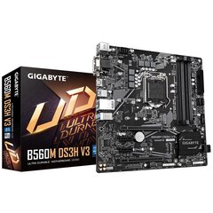 Gigabyte B560M DS3H V3 kaina ir informacija | Pagrindinės plokštės | pigu.lt