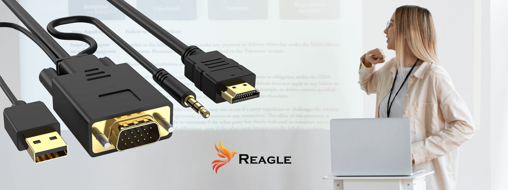 REAGLE VGA į HDMI 3M FULL HD D-SUB kabelio adapteris Garso lizdas kaina ir informacija | Korpusų priedai | pigu.lt