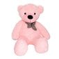 Pliušinis meškinas Makosas Teddy 120 cm, rožinis kaina ir informacija | Minkšti (pliušiniai) žaislai | pigu.lt