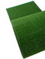 Durų kilimėlis Astroturf 91x100 cm kaina ir informacija | Durų kilimėliai | pigu.lt