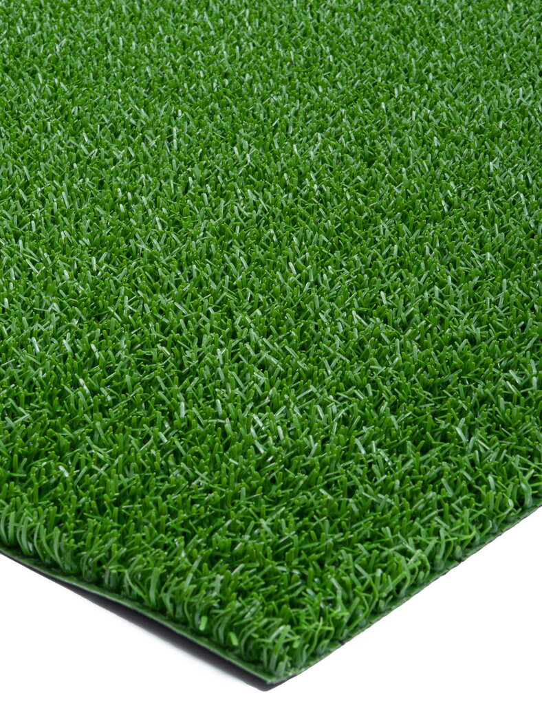 Durų kilimėlis Astroturf 91x100 cm kaina ir informacija | Durų kilimėliai | pigu.lt