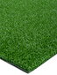 Durų kilimėlis Astroturf 91x100 cm kaina ir informacija | Durų kilimėliai | pigu.lt