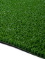 Durų kilimėlis Astroturf 91x100 cm kaina ir informacija | Durų kilimėliai | pigu.lt