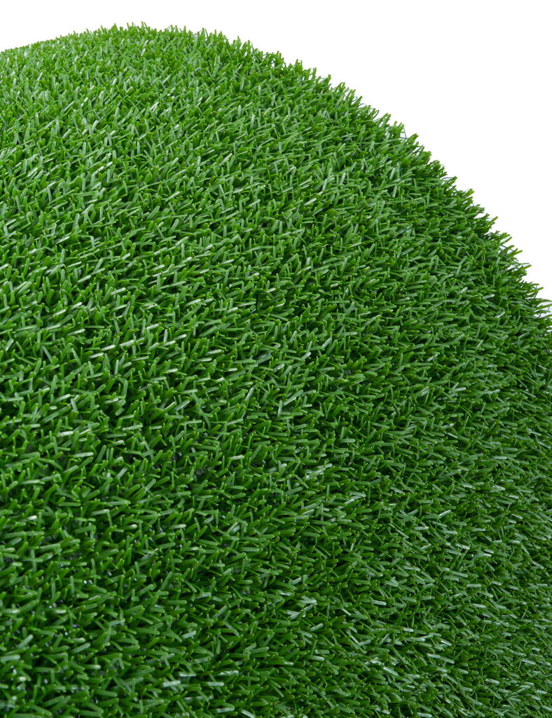 Durų kilimėlis Astroturf 91x100 cm kaina ir informacija | Durų kilimėliai | pigu.lt