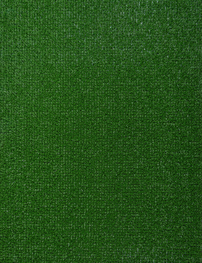 Durų kilimėlis Astroturf 91x100 cm kaina ir informacija | Durų kilimėliai | pigu.lt