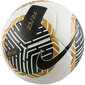 Futbolo kamuolys Nk Nike Pitch Gold, 5 dydis цена и информация | Futbolo kamuoliai | pigu.lt