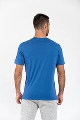 Marškinėliai vyrams Champion, mėlyni kaina ir informacija | Vyriški marškinėliai | pigu.lt
