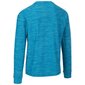 Marškinėliai vyrams Trespass Callum MATOLSTR0011, mėlyni kaina ir informacija | Vyriški marškinėliai | pigu.lt
