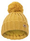 Kepurė berniukams Trespass, geltona kaina ir informacija | Kepurės, pirštinės, šalikai berniukams | pigu.lt