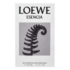 Tualetinis vanduo Loewe Esencia EDT, 150 ml цена и информация | Женские духи | pigu.lt