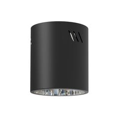 точечный светильник, 230 в/50 гц цена и информация | Потолочные светильники | pigu.lt