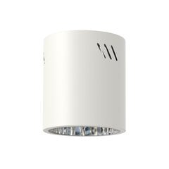 светильник для внутреннего освещения 1xe27 белый цена и информация | Потолочные светильники | pigu.lt