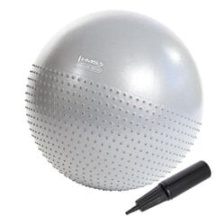 Гимнастический мяч HMS YB03N Gym Ball 65 см, светло-серый цена и информация | Гимнастические мячи | pigu.lt