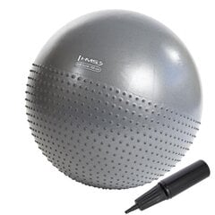 Гимнастический мяч HMS YB03N Gym Ball 65 см, серый цена и информация | Гимнастические мячи | pigu.lt