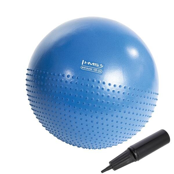 Gimnastikos kamuolys su pompa HMS, 55 cm, mėlynas kaina ir informacija | Gimnastikos kamuoliai | pigu.lt