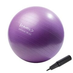 Гимнастический мяч HMS YB02N Gym Ball 65 см, фиолетовый цена и информация | Гимнастические мячи | pigu.lt