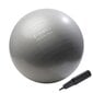 Gimnastikos kamuolys su pompa HMS, 55 cm, pilkas цена и информация | Gimnastikos kamuoliai | pigu.lt