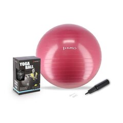 Gimnastikos kamuolys su pompa HMS, 65 cm, rožinis kaina ir informacija | Gimnastikos kamuoliai | pigu.lt
