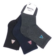 Kojinės vyrams, įvairių spalvų, 6 poros kaina ir informacija | Vyriškos kojinės | pigu.lt