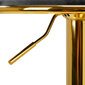 Baro kėdė 4rico, pilka/auksinė цена и информация | Baldai grožio salonams | pigu.lt