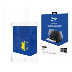 Apple iPad 5 2017 - 3mk FlexibleGlass Lite™ 11'' screen protector цена и информация | Аксессуары для планшетов, электронных книг | pigu.lt
