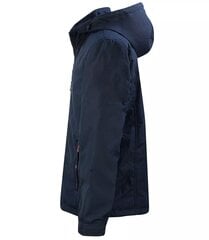 Мужская переходная куртка с легким утеплителем цена и информация | Женские куртки | pigu.lt