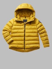 КУРТКА ЖЕНСКАЯ BLAUER BLDB03200 37419-2 цена и информация | Женские куртки | pigu.lt