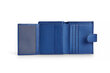 Valentini moteriška piniginė Metallic 447 blue 25633-uniw kaina ir informacija | Piniginės, kortelių dėklai moterims | pigu.lt