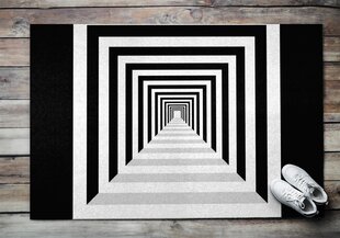 Durų kilimėlis Geometrinis Tunelis 150x100 cm kaina ir informacija | Durų kilimėliai | pigu.lt