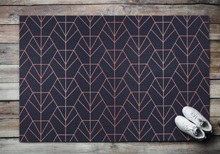 Durų kilimėlis Abstrakcija 150x100 cm kaina ir informacija | Durų kilimėliai | pigu.lt