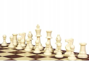 Šachmatai Sunrise Chess & Games Training Chess, 48 x 48 cm цена и информация | Настольные игры, головоломки | pigu.lt