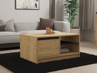 Kavos staliukas Asir, 90x45x60 cm, pilkas/smėlio spalvos kaina ir informacija | Kavos staliukai | pigu.lt
