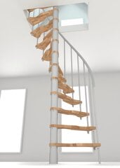 Винтовая лестница Minka Suono Smart  Ø120 cm, белая цена и информация | Лестницы | pigu.lt