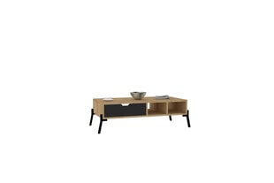Kavos staliukas Asir, 100x28,2x50 cm, rudas/pilkas kaina ir informacija | Kavos staliukai | pigu.lt
