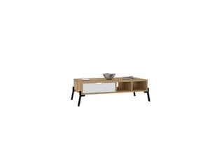 Kavos staliukas Asir, 100x28,2x50 cm, rudas/baltas kaina ir informacija | Kavos staliukai | pigu.lt