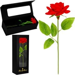 Вечная роза Springos цена и информация | Спящие стабилизированные розы, растения | pigu.lt