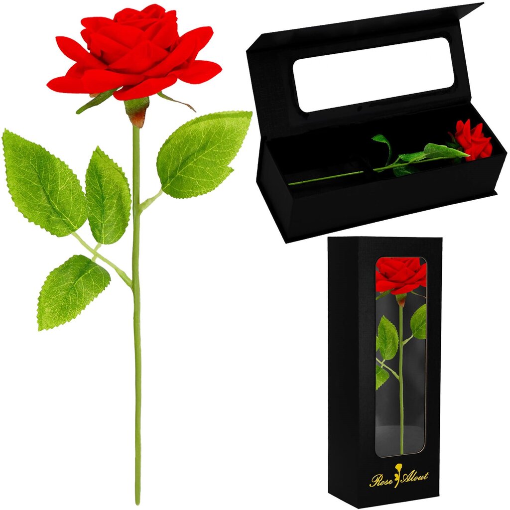 Stabilizuota amžinoji rožė Springos HA7449 kaina ir informacija | Miegančios rožės, stabilizuoti augalai | pigu.lt